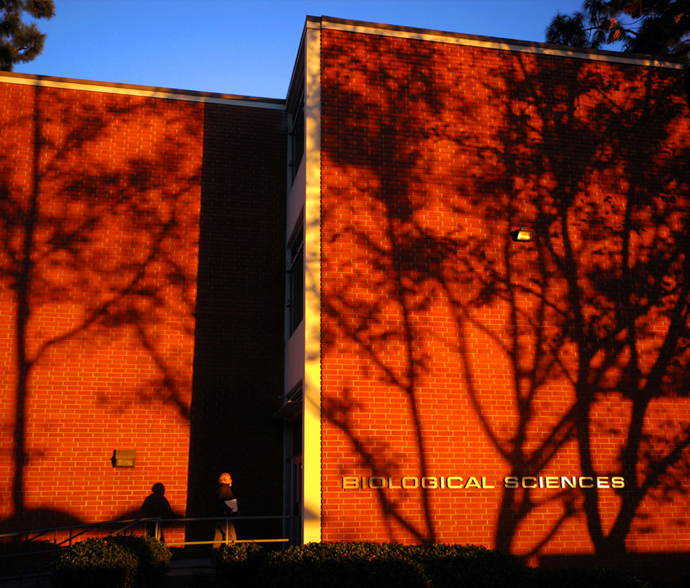 Trees cast black shadows on brick red Biological Sciences building. Trees cast black shadows on brick red Biological Sciences building.