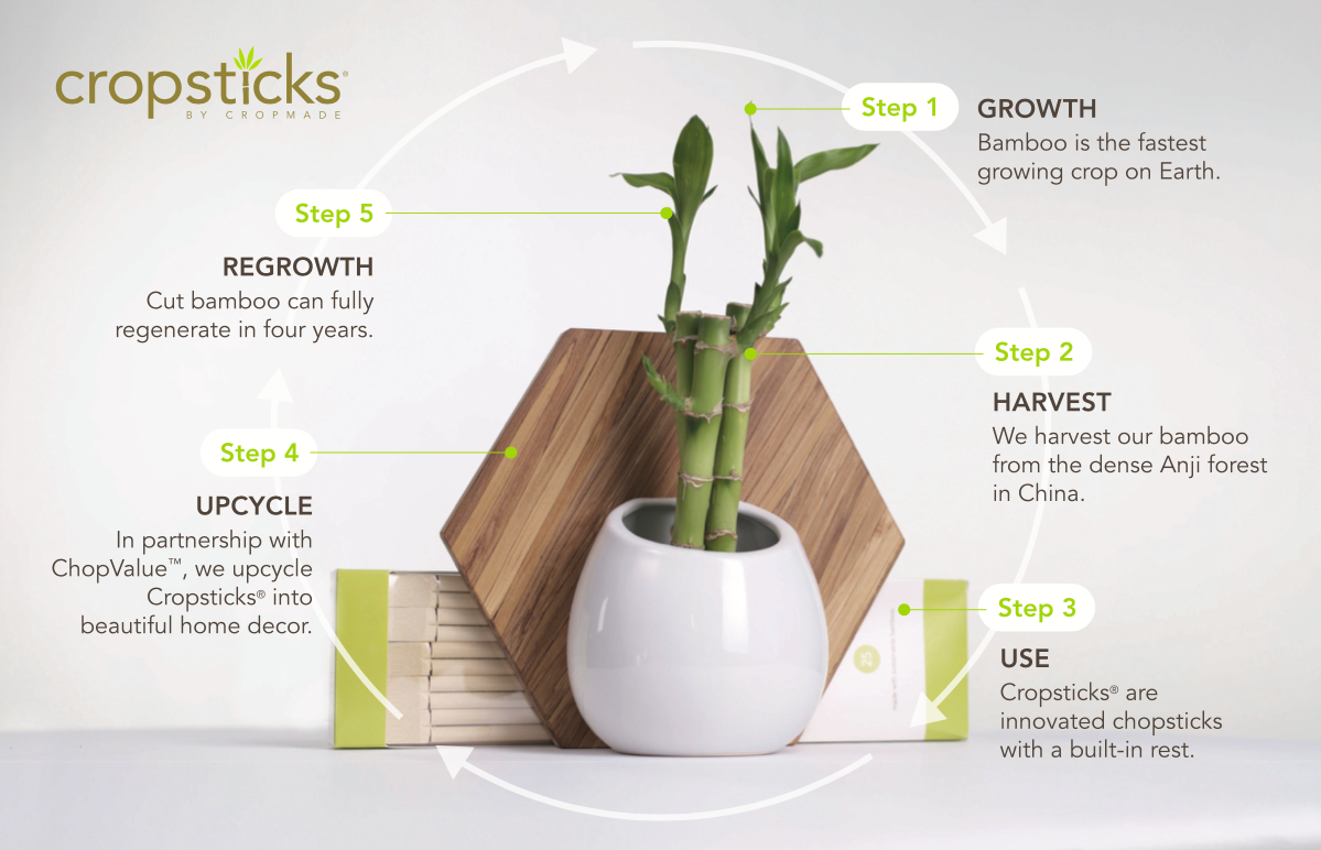 Diagram on how Cropsticks are made and upcycled. Diagram on how Cropsticks are made and upcycled.