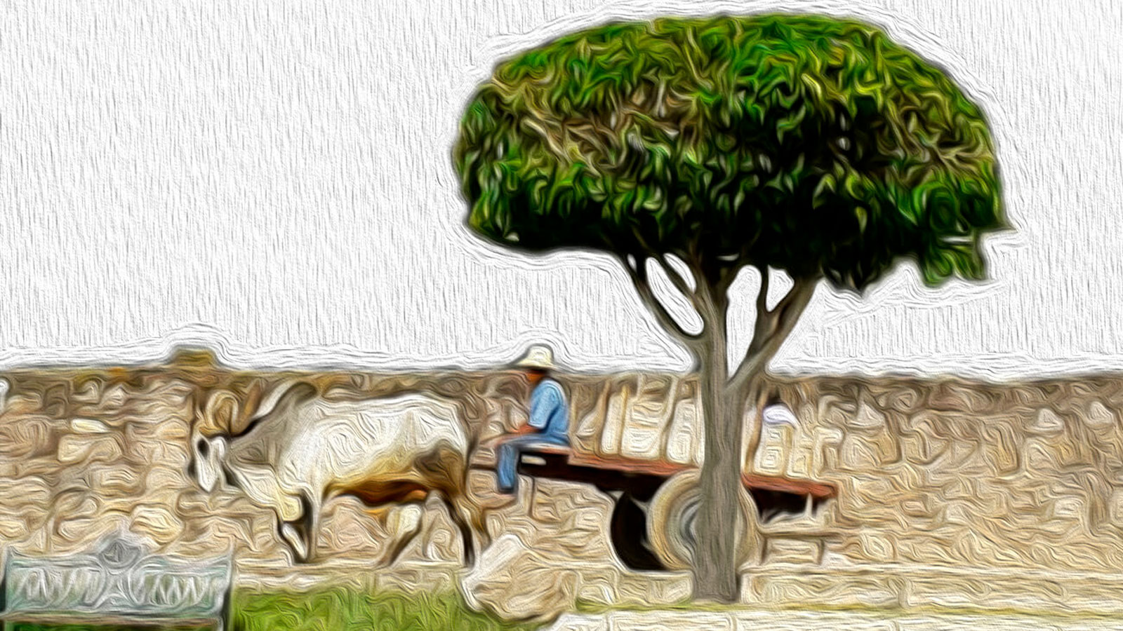 Solar Oxen Cart