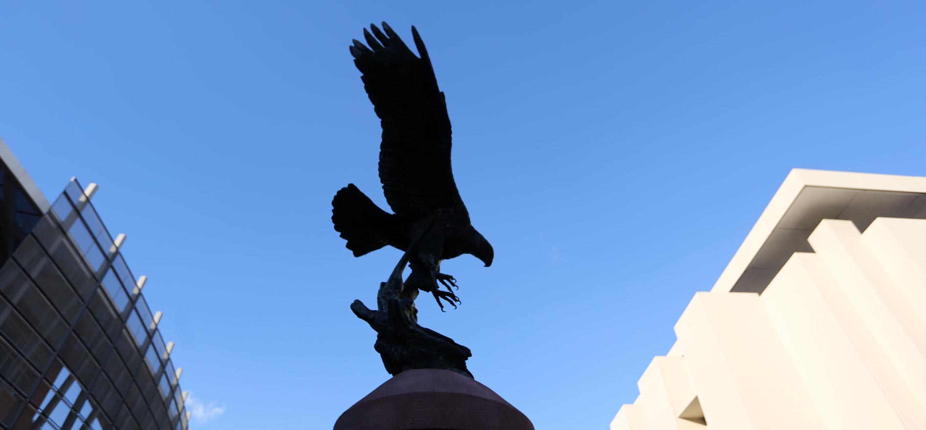 The Golden Eagle statue at Cal State LA stands between the University Library and the Bookstore, silhouetted against a clear blue sky.